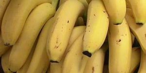 Fresh Bananas