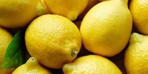 Fresh Lemons