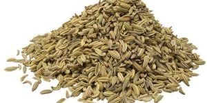 Fennel Seeds