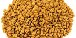 Fenugreek Seeds