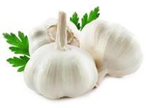 Fresh Garlic