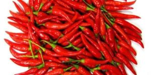 Red Chilli Sauce