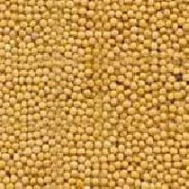 Yellow Mustard Seeds