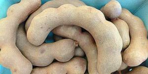 Tamarind