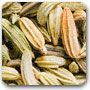 Fennel Seeds