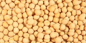 Yellow Peas