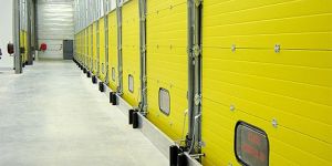 Banana Ripening Machine