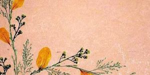 Handmade Paper Products