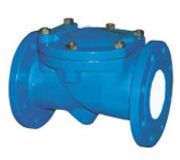 Swing Check Valves