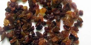 Malayar Raisins