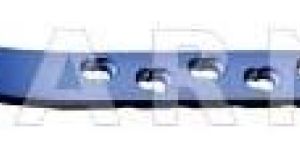 TROCHANTERIC FEMUR LOCKED PLATE