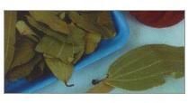 Bay Leaf
