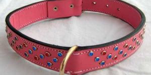 Dog Collars