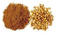 Coriander Seeds