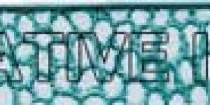 VINTAGE FLAT LEATHER CORD IN 10MM WIDE