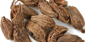 Black Cardamom