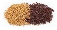 Mustard Seeds