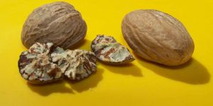 Nutmeg
