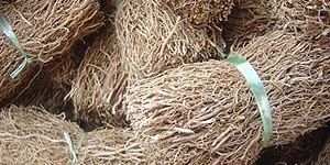 Khus Root Extract