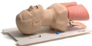 Laerdal Airway Management Trainer