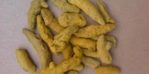 Dry Turmeric Fingure