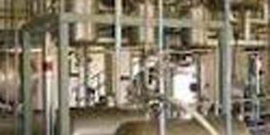 Spices Oil,oleoresin