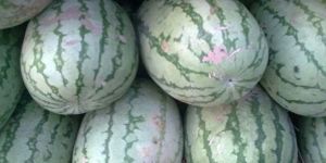 Watermelon