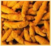 Turmeric Root