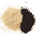 Sesame Seeds
