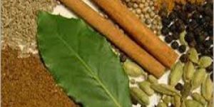 Curry Spices