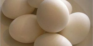 Poultry Eggs