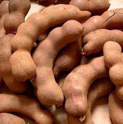 Tamarind Pods