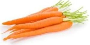 Carrot