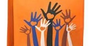 Non Woven Advertising Bags