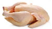 Chicken Meat