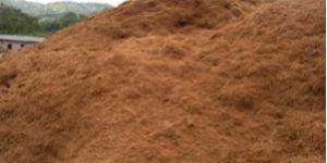 Coco Peat Products