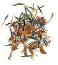 Marigold Seeds