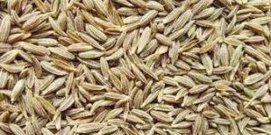Cumin Seeds