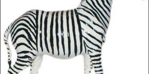 Leather Zebra
