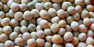 White Peas