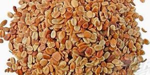Roasted Coriander Seeds