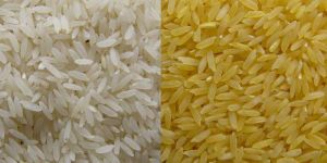 White Rice