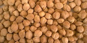 White Chickpeas