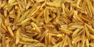 Rice Husk