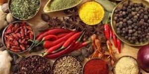 Indian Spices