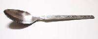 Stainless Steel Spoons