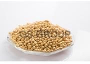 Organic Soya Bean Seeds