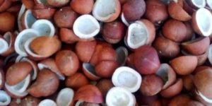Coconut Copra
