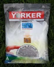 Biological Nematicides