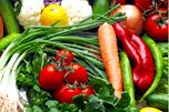 Fresh Vegetables